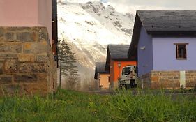 Camping Pineta